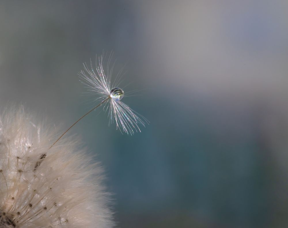 Фотография автора Мария Обидина