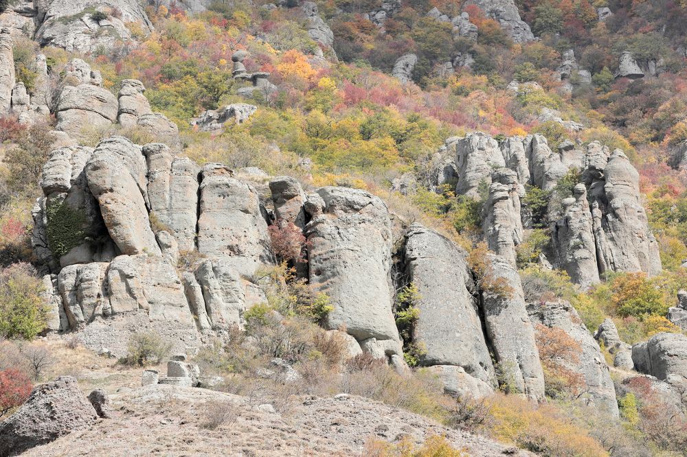 Фотография автора Алексей Попов