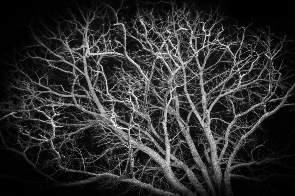 Photograph by Marcos Lara Repiso