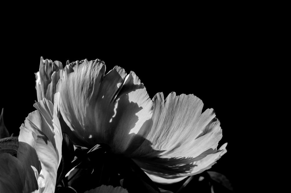 Photograph by Мария Фролова