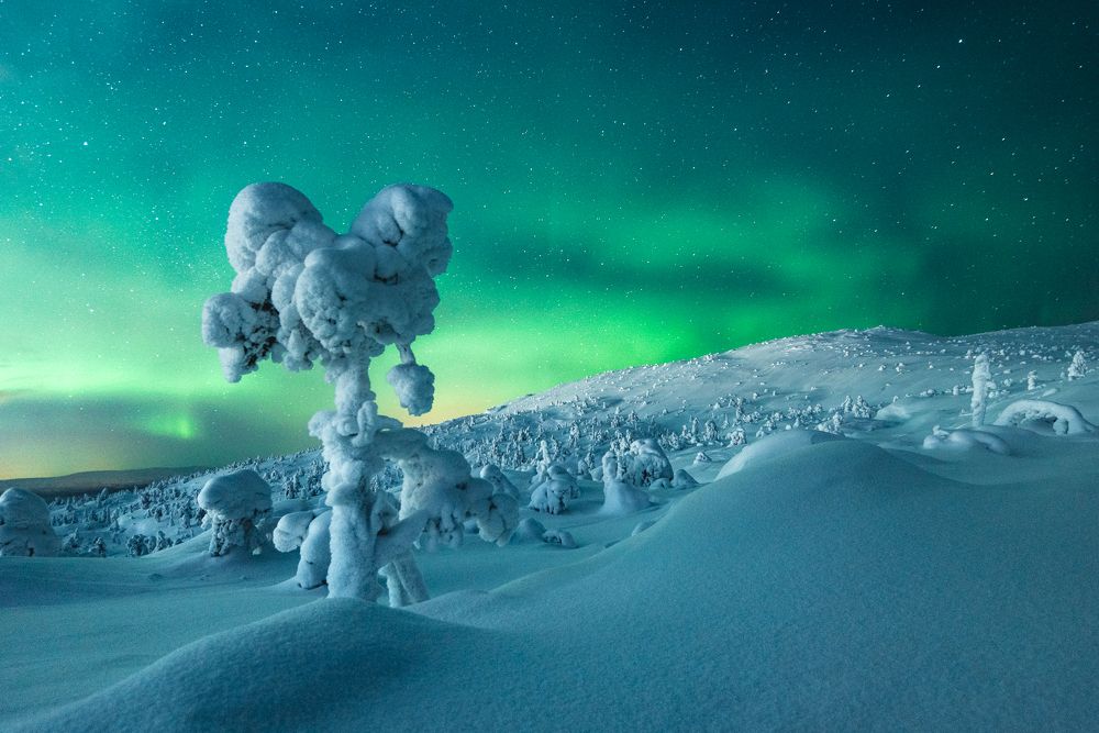 Photograph by Алексей Соколенко