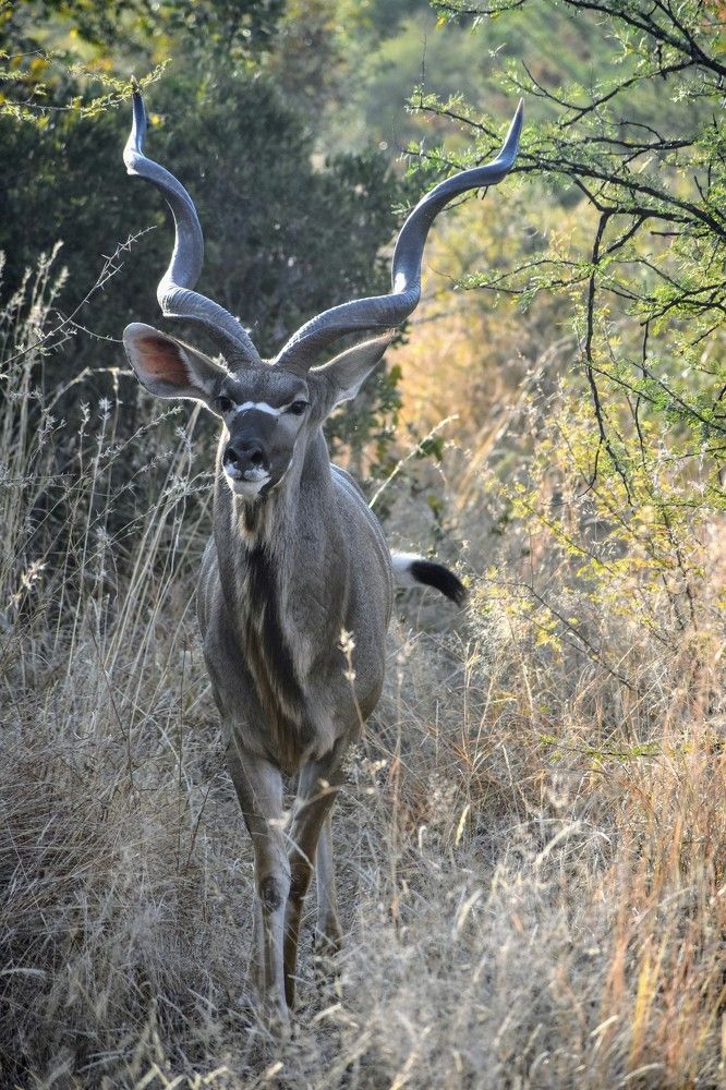 Photograph by Kriti Aggarwal