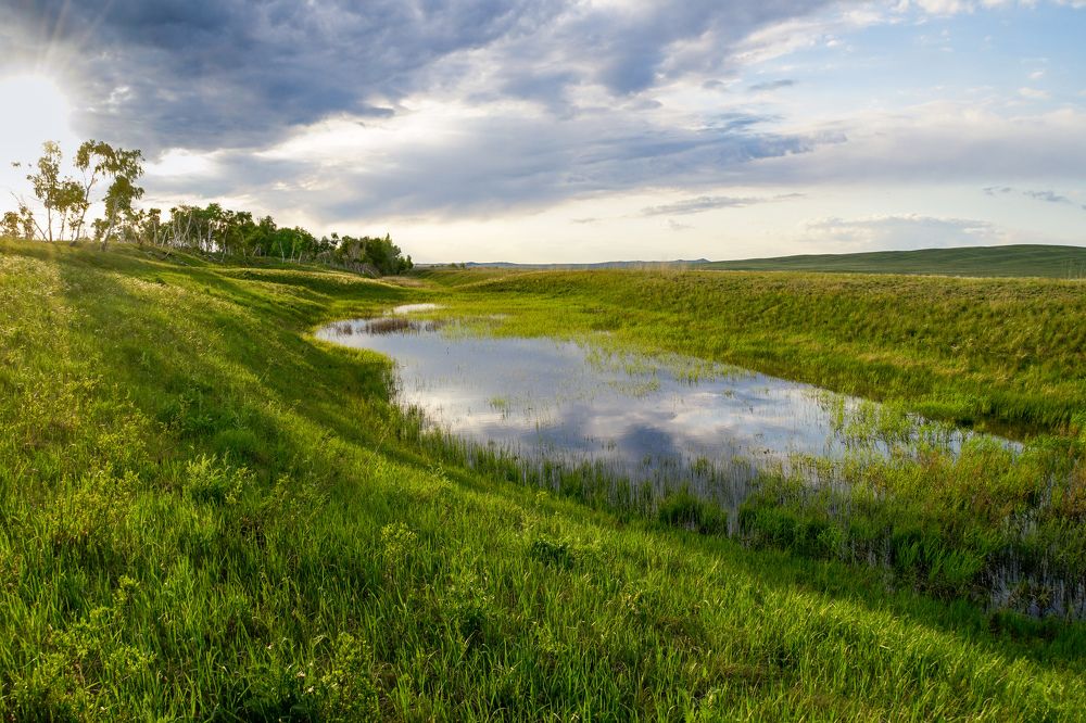 Photograph by Андрей Черкасов