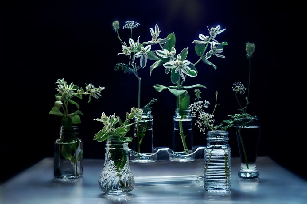 Photograph by Татьяна Колесникова