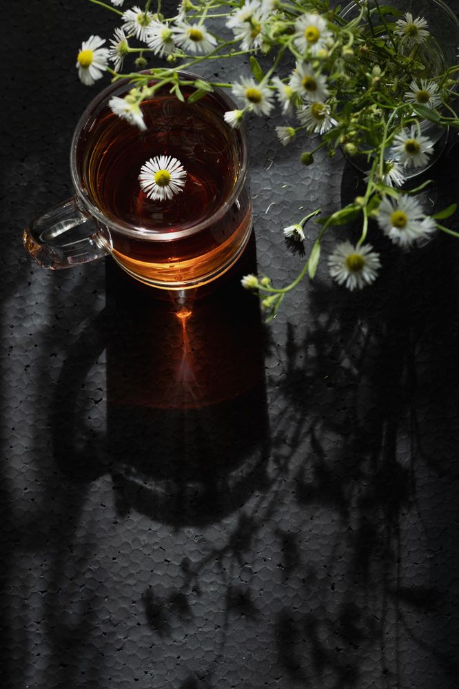 Photograph by Татьяна Колесникова