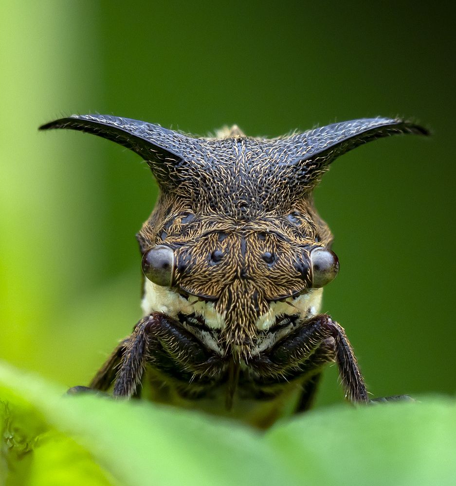 Photograph by Madhan Kumar Balaguru