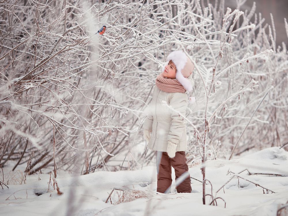 Фотография автора Ольга Котова