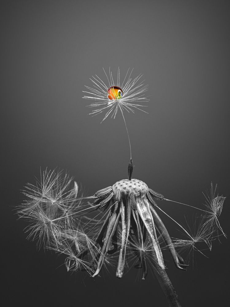 Фотография автора Татьяна Гореславец