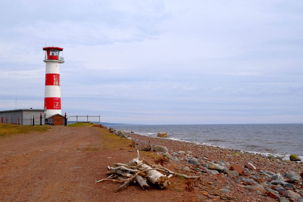 Photograph by Игорь Саломатин