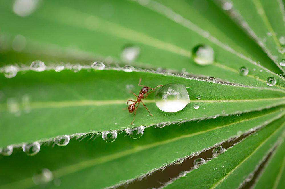 Photograph by Анастасия Петрова