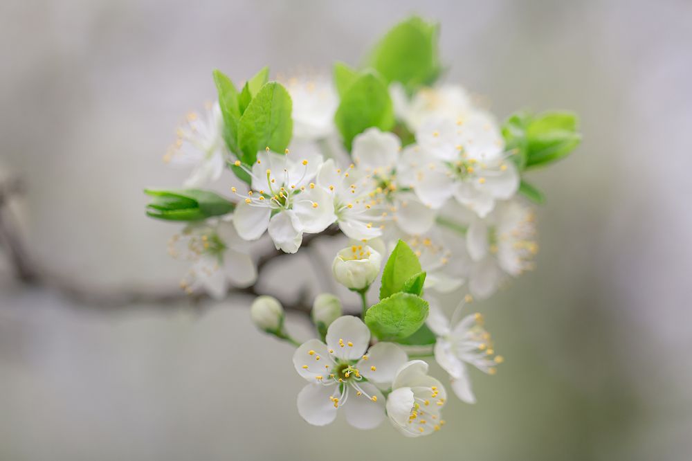 Photograph by Анастасия Петрова