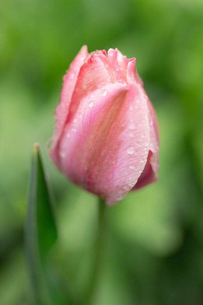 Photograph by Анастасия Петрова