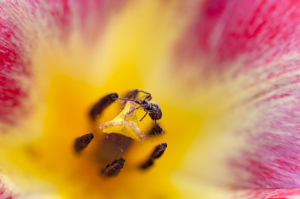 Photograph by Анастасия Петрова