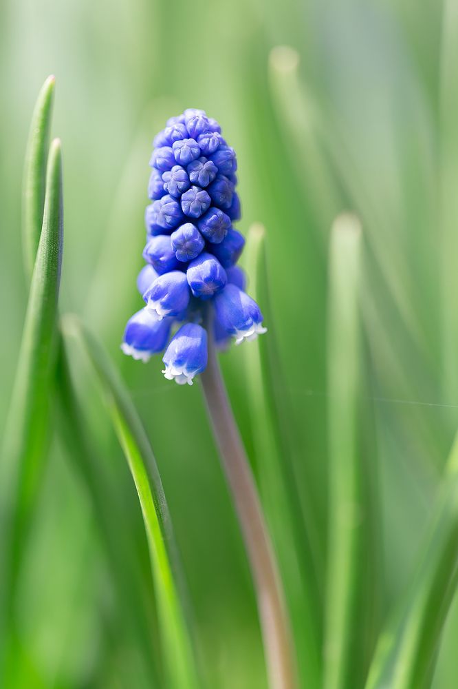 Photograph by Анастасия Петрова