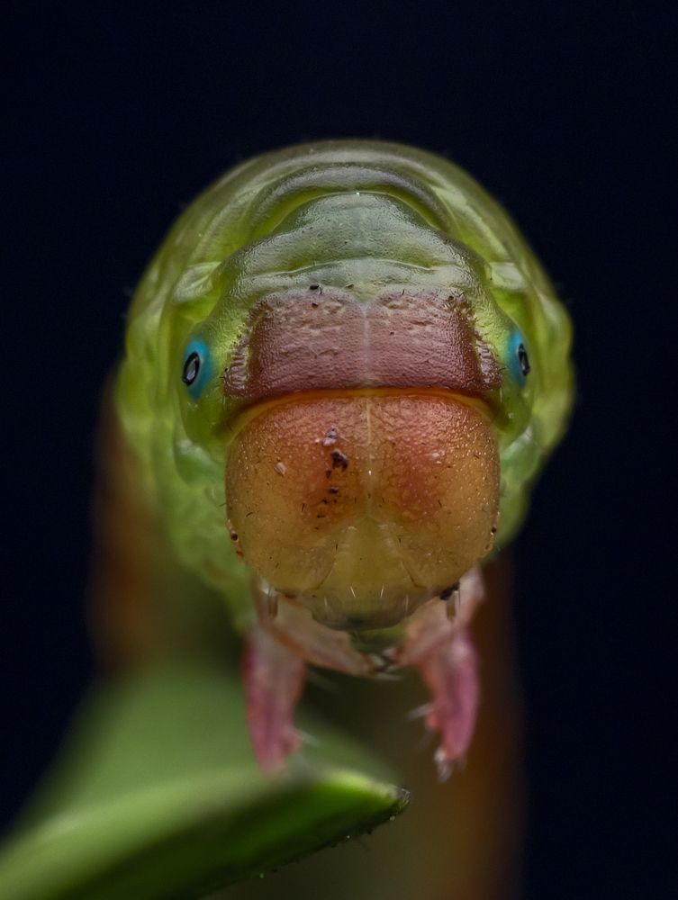 Photograph by Madhan Kumar Balaguru