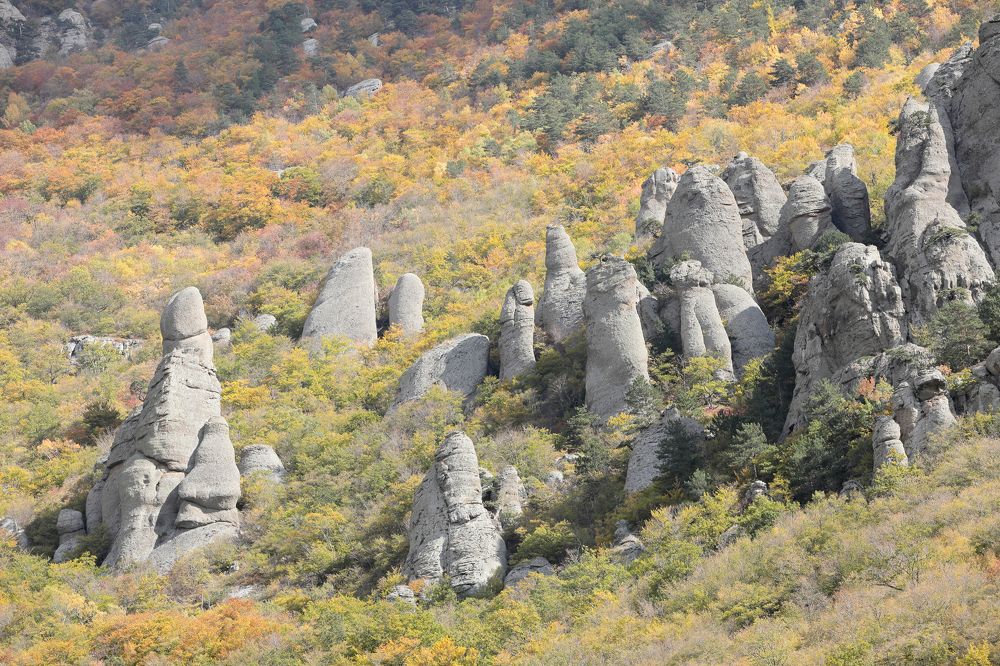 Фотография автора Алексей Попов