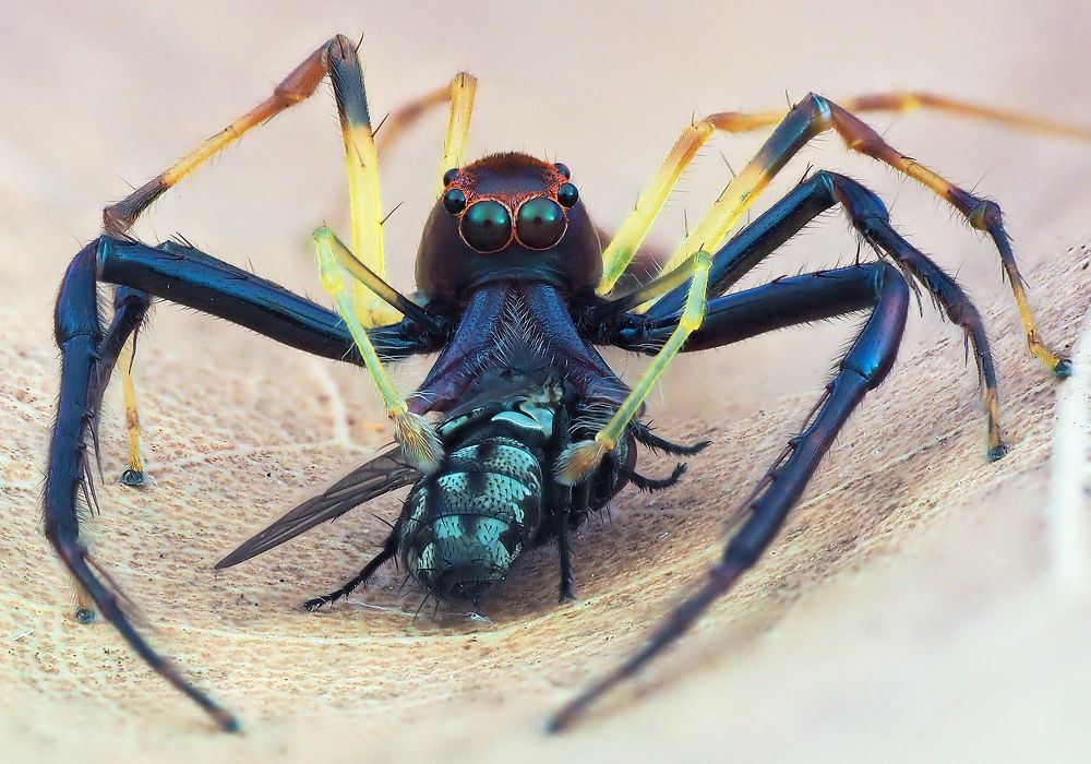 Photograph by Madhan Kumar Balaguru