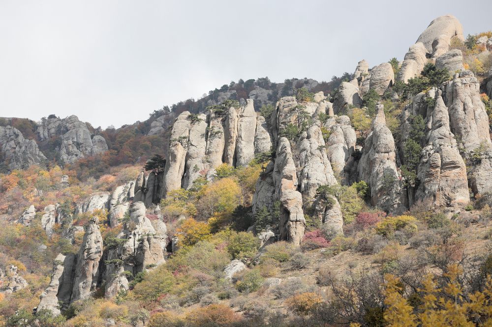 Фотография автора Алексей Попов