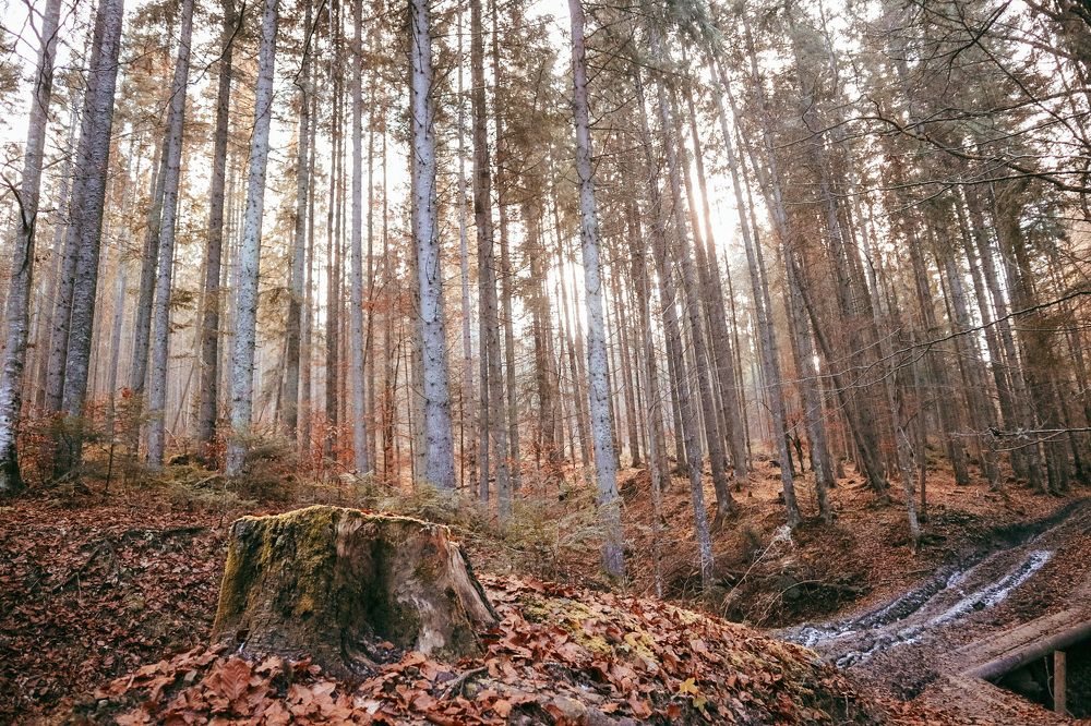 Photograph by Yana Kanibolotska