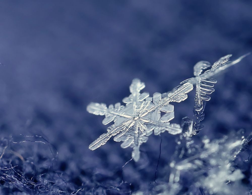 Photograph by Maryna Sydorova