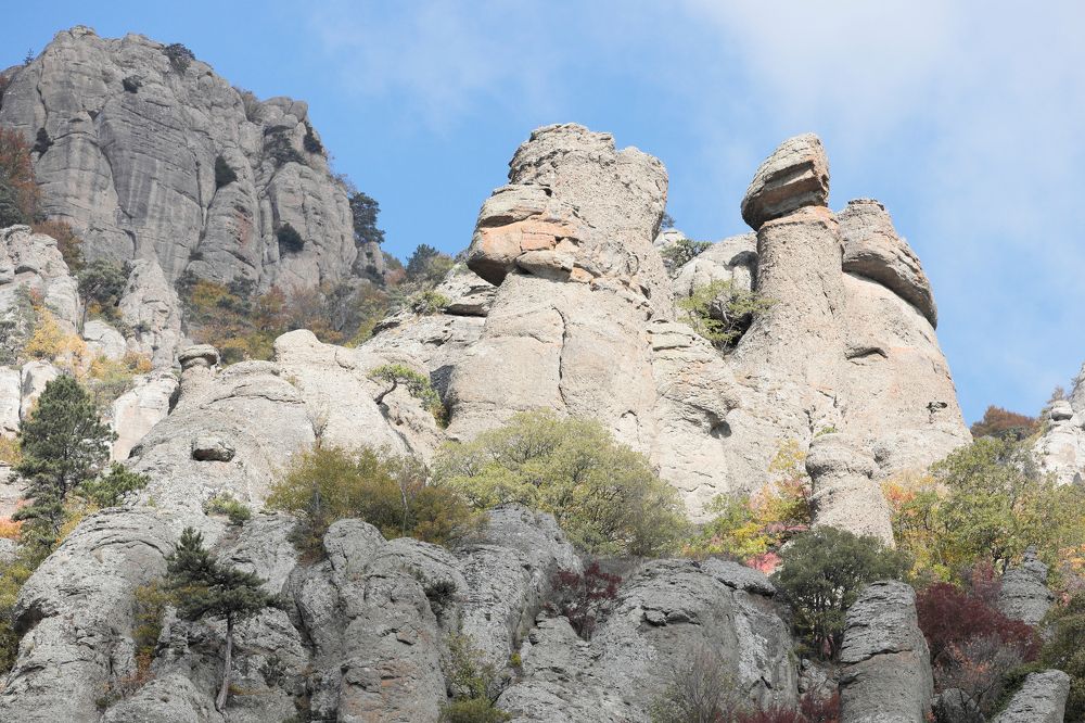 Фотография автора Алексей Попов