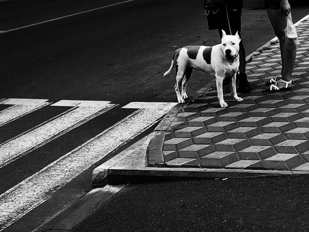 Photograph by Елена Николаева