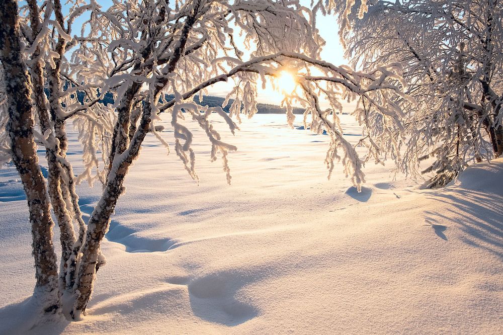 Photograph by Игорь Саломатин