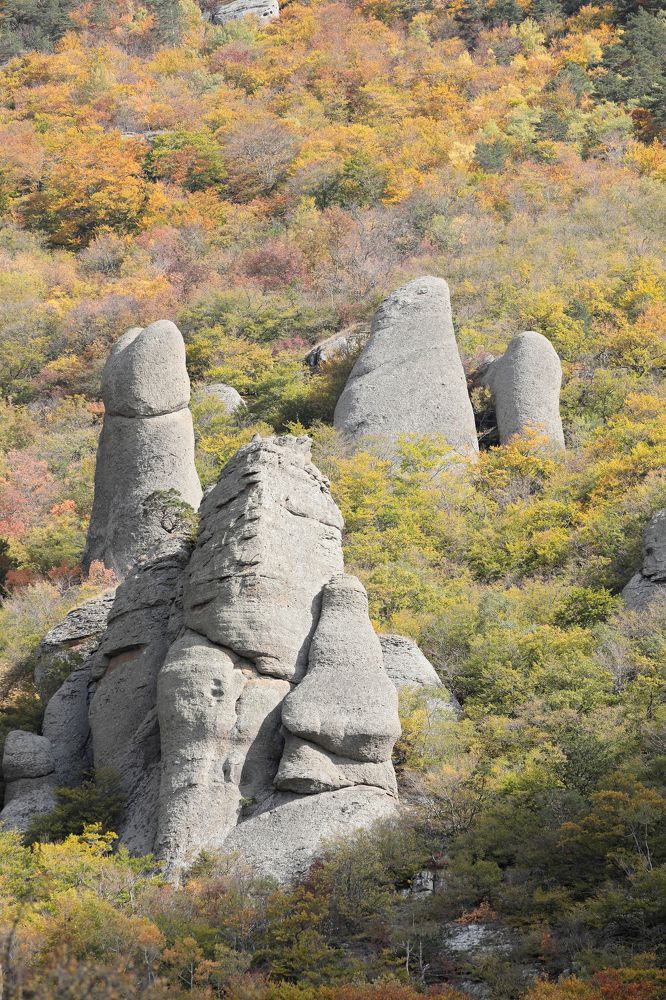 Фотография автора Алексей Попов