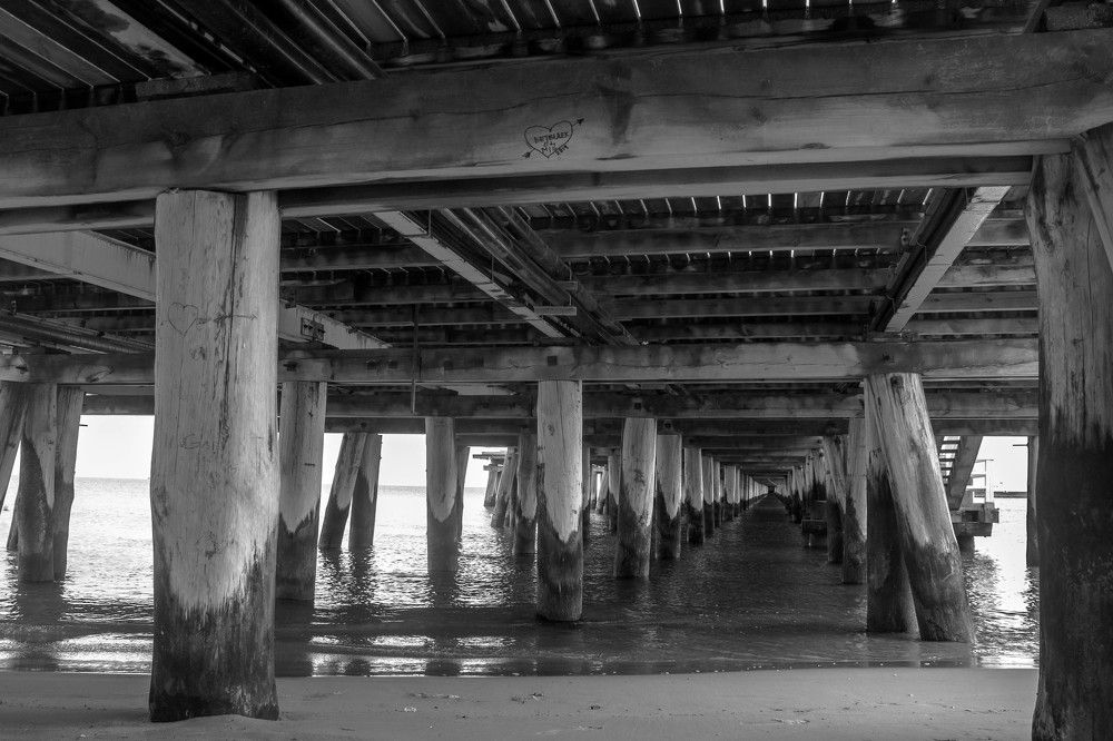 Photograph by Anna Diatchenkova