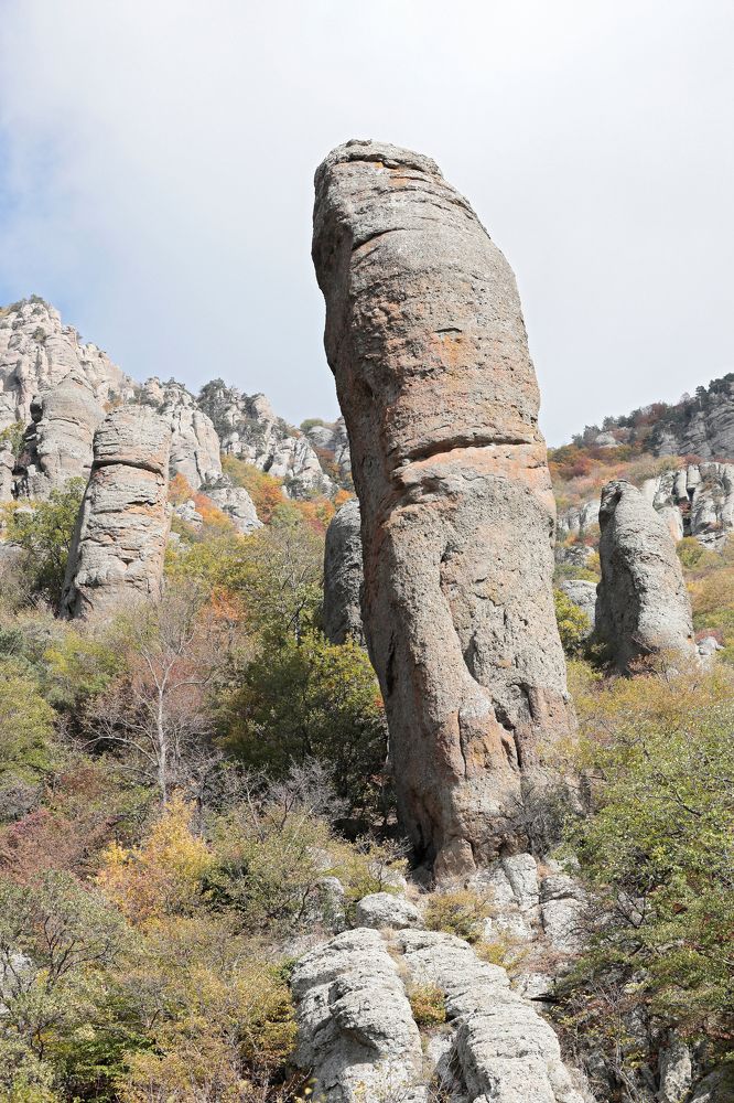 Фотография автора Алексей Попов