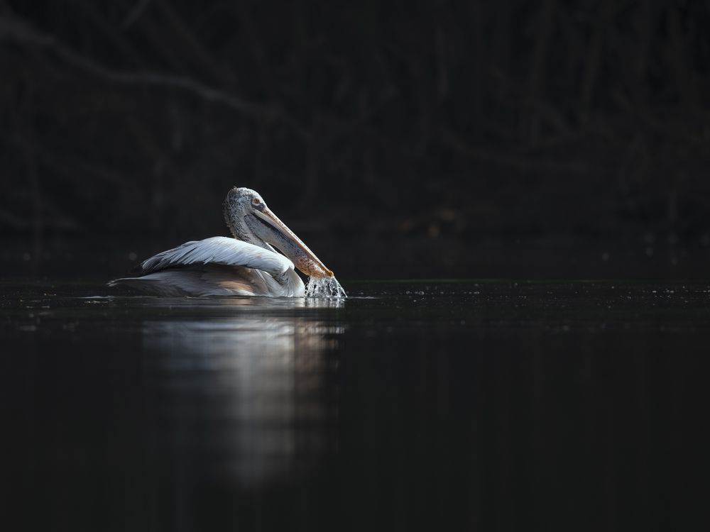 Photograph by Anindita Datta Muhuri