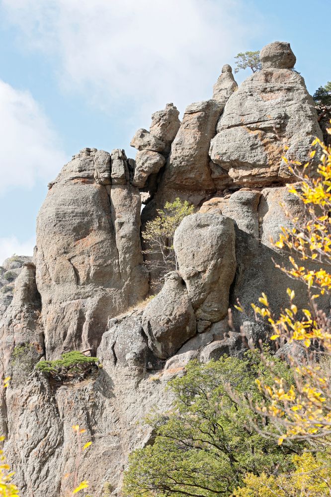 Фотография автора Алексей Попов