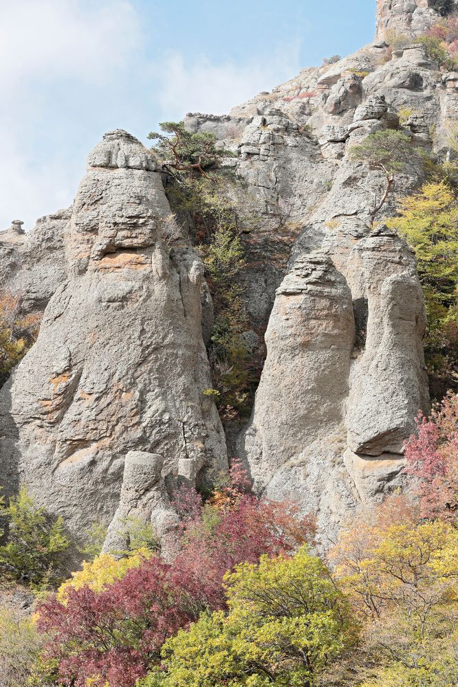 Фотография автора Алексей Попов