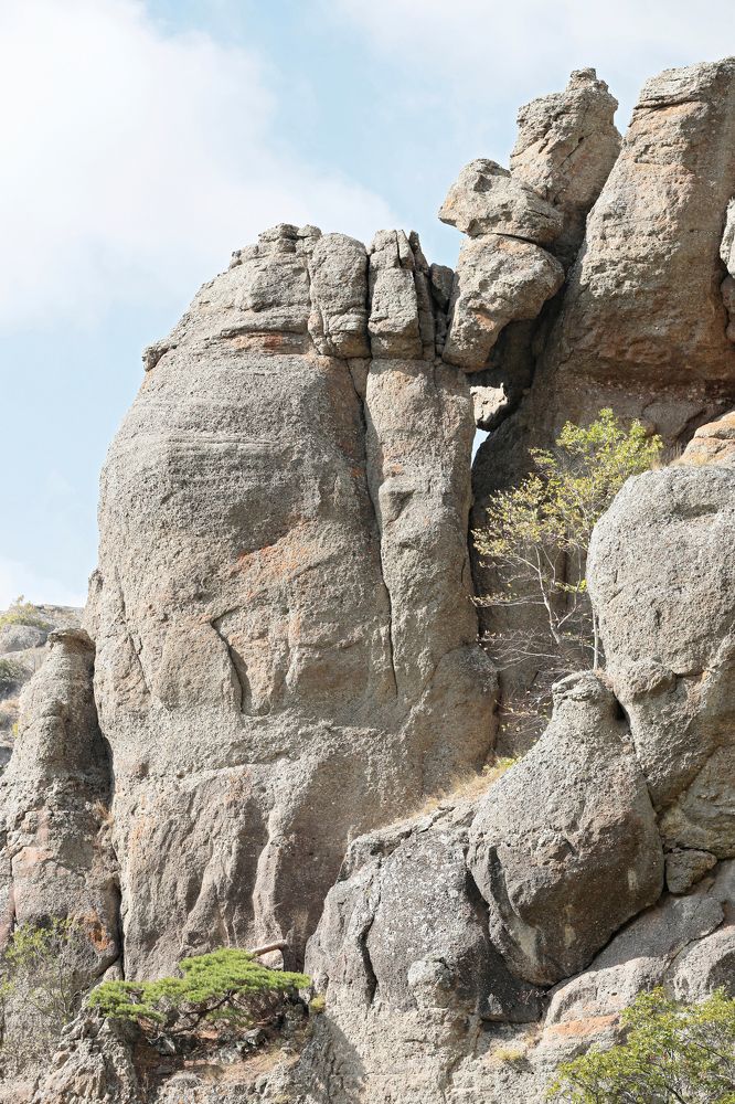 Фотография автора Алексей Попов