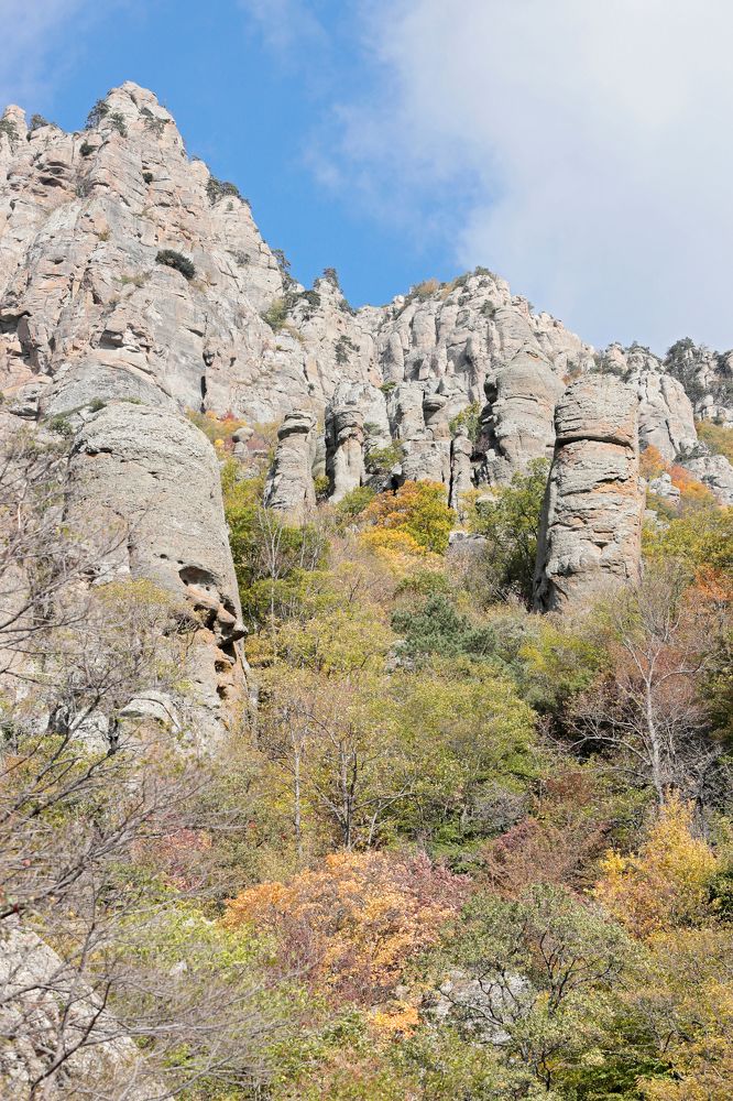 Фотография автора Алексей Попов