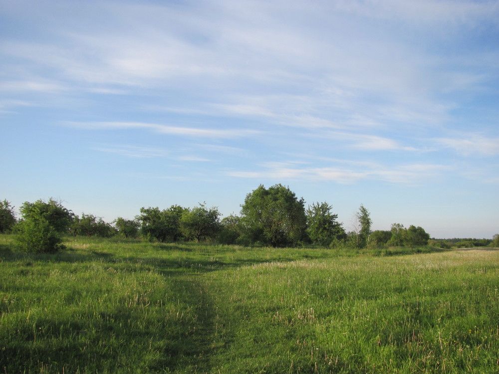 Photograph by Юлия