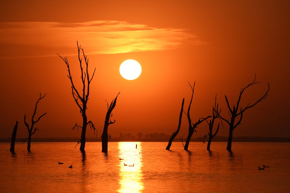 Photograph by SI SABER LOTFI