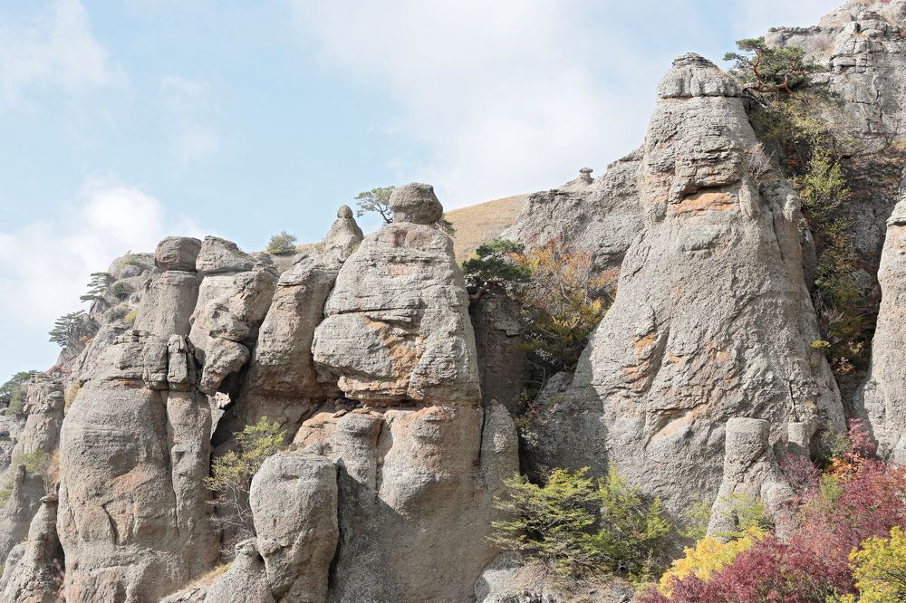 Фотография автора Алексей Попов
