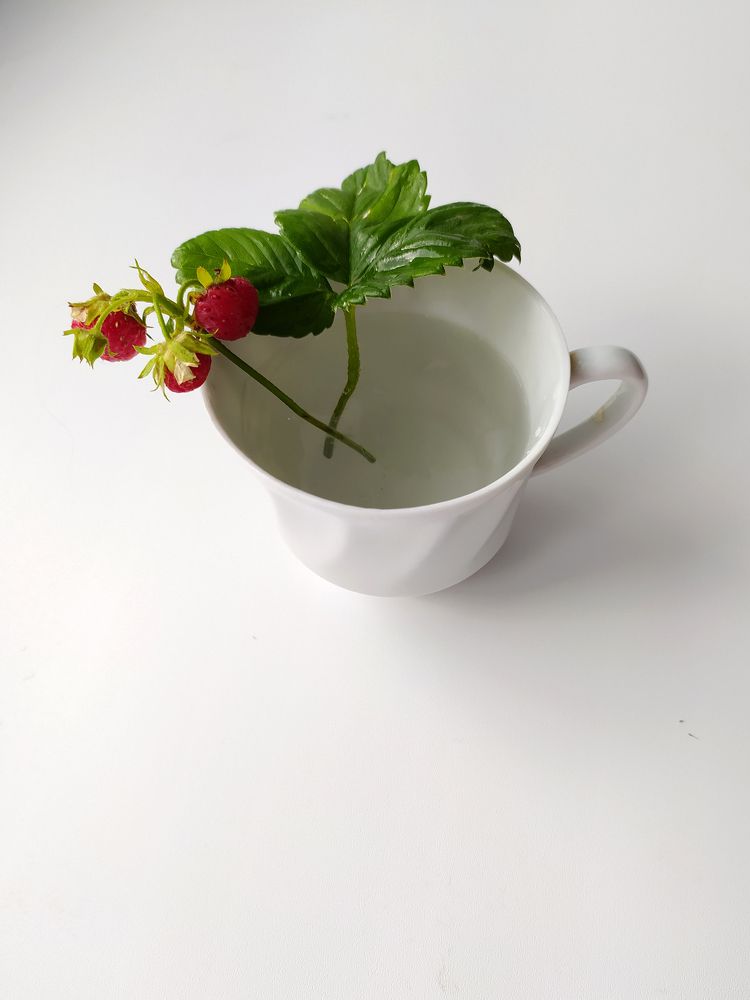 Сладкая нежность