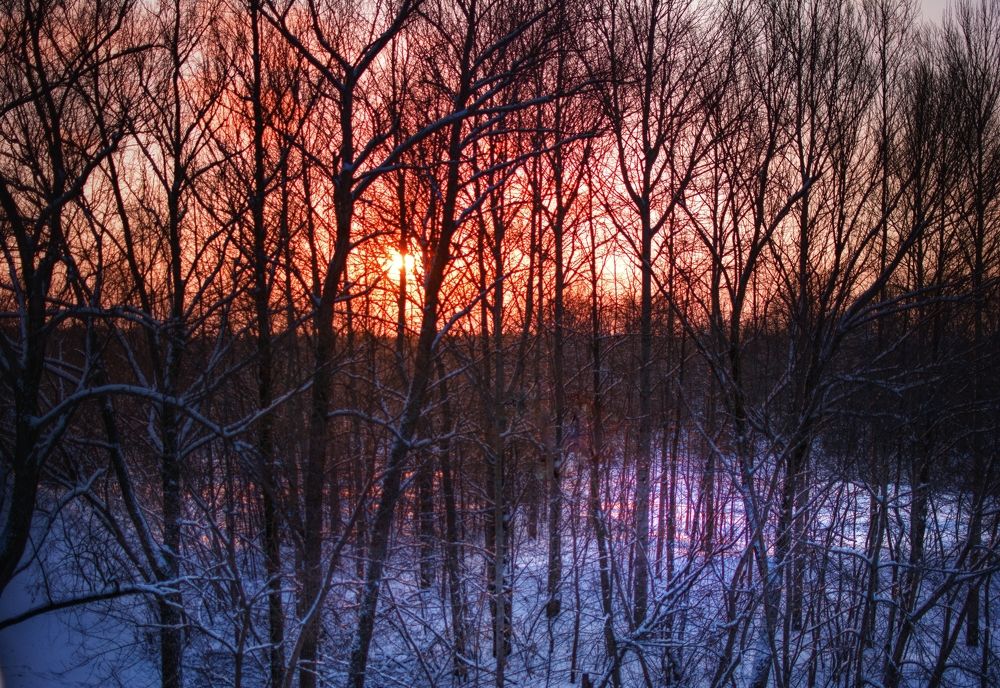 Photograph by Сергей Грицков