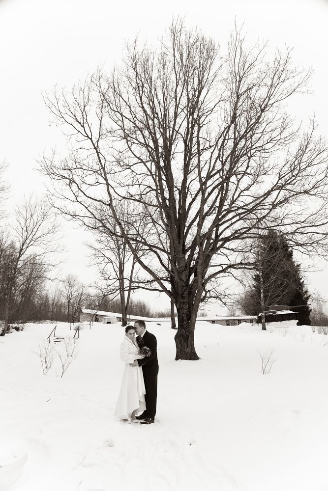 Photograph by Светлана Кондратьева