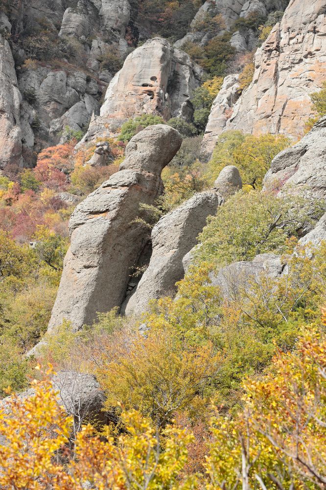 Фотография автора Алексей Попов