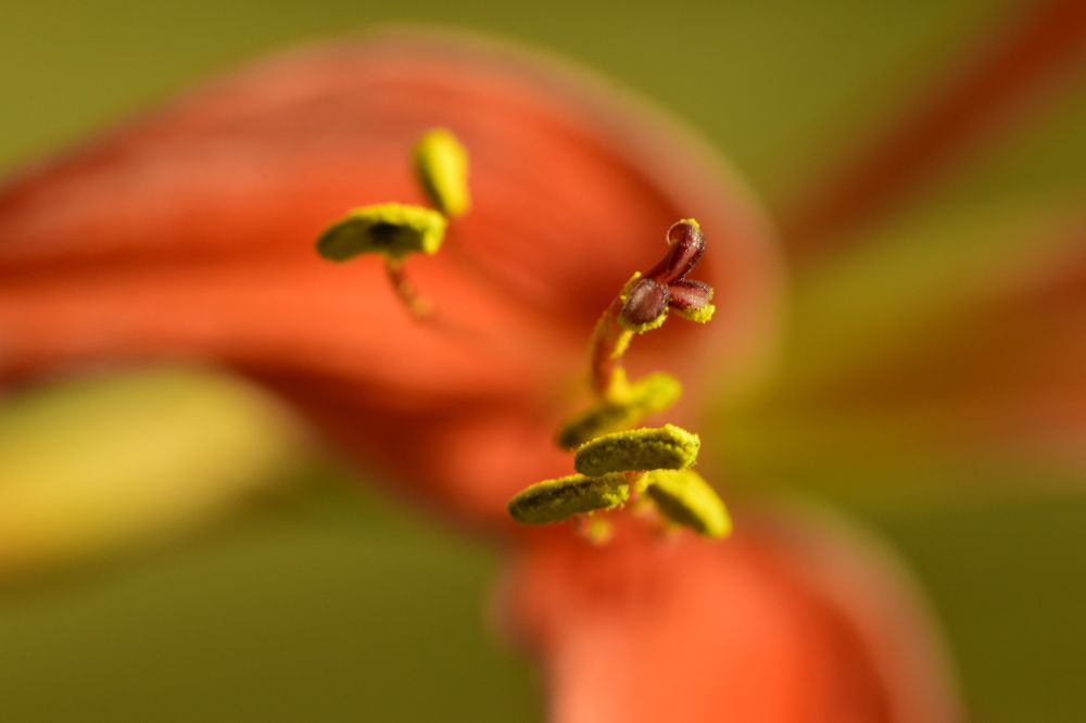 Фотография автора Мария Рохмистрова