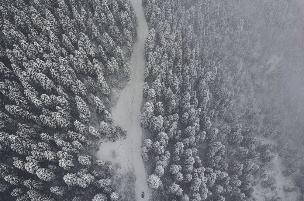 Photograph by Ucha Dolaberidze