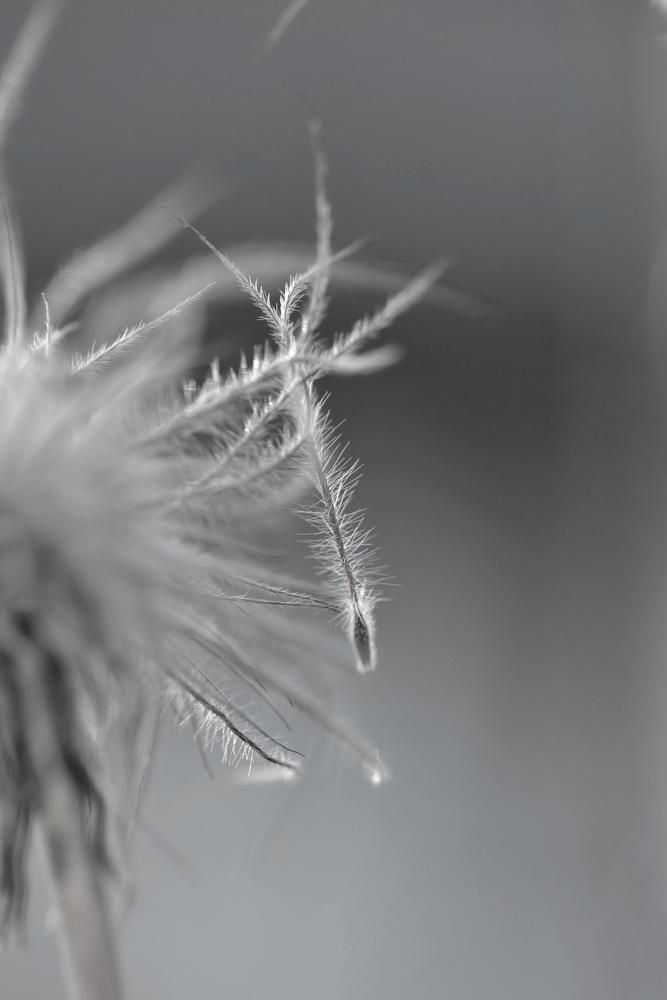 Фотография автора Мария Рохмистрова