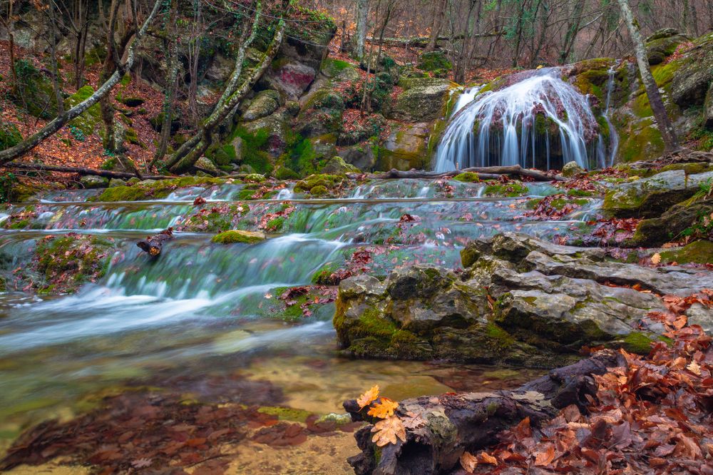 Photograph by Ирина Крепак