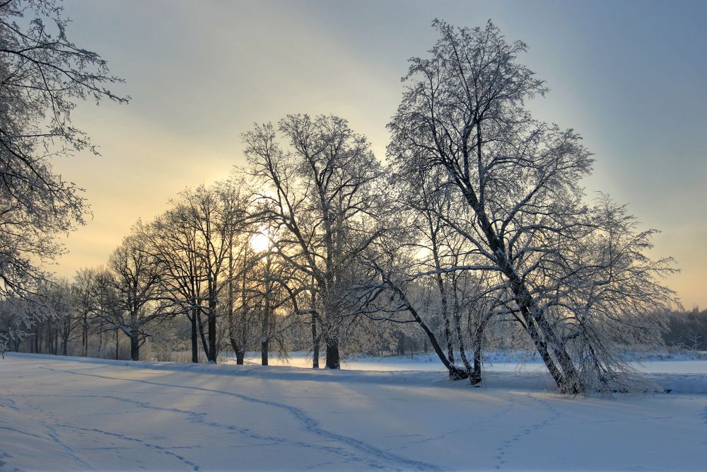 Photograph by 