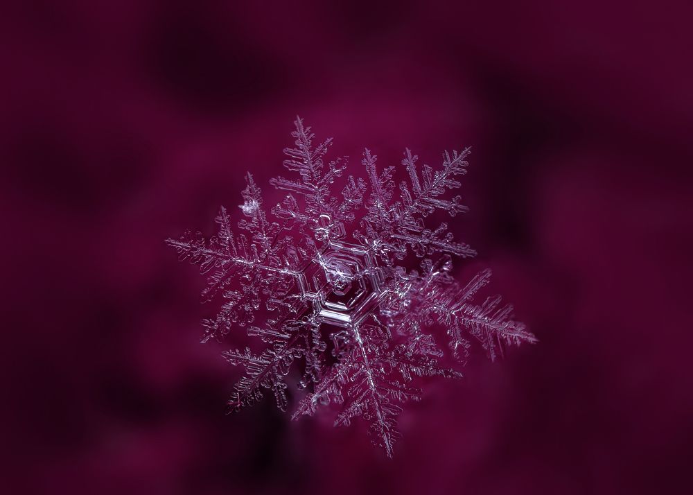 Фотография автора Dolli Pogrebnaya