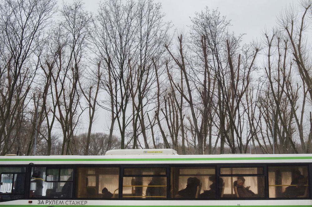 Photograph by Екатерина Шилкина