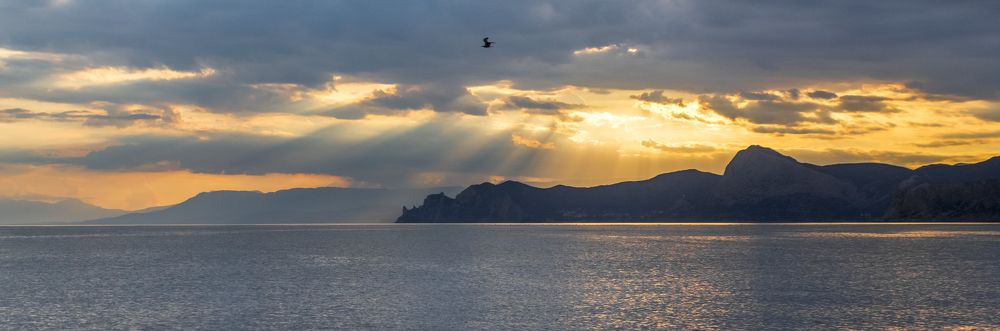 Photograph by Ирина Крепак